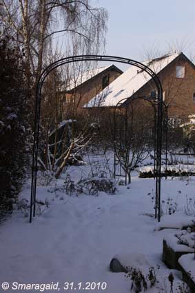 2010-01-31-Garten_0208