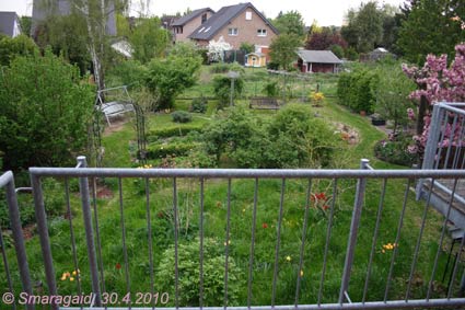 2010-04-30-Garten_5148
