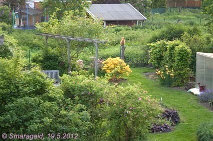 2012-05-19-Garten_5301