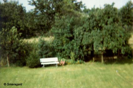 Garten-1984