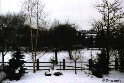 Winter_1984-85